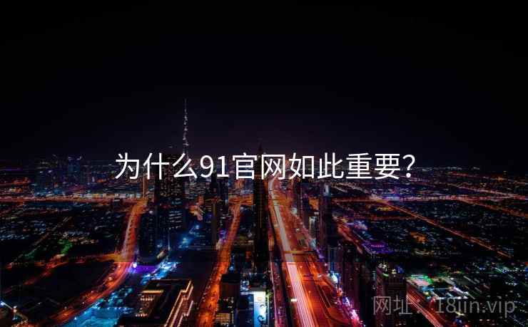 为什么91官网如此重要？