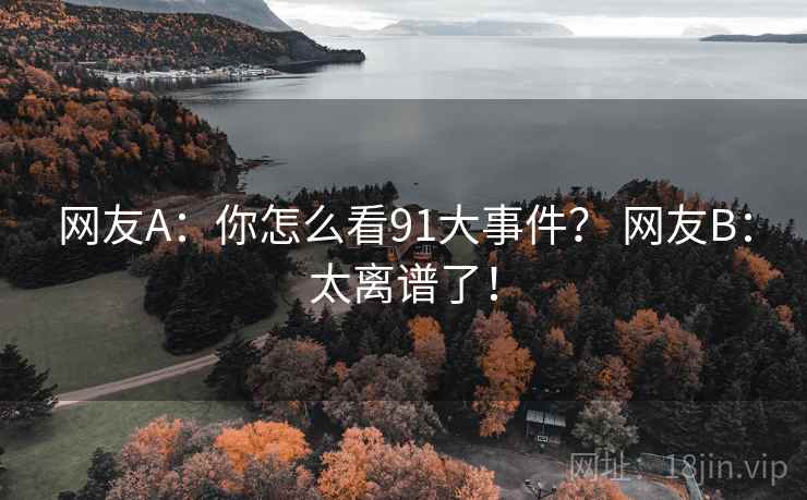 网友A：你怎么看91大事件？ 网友B：太离谱了！