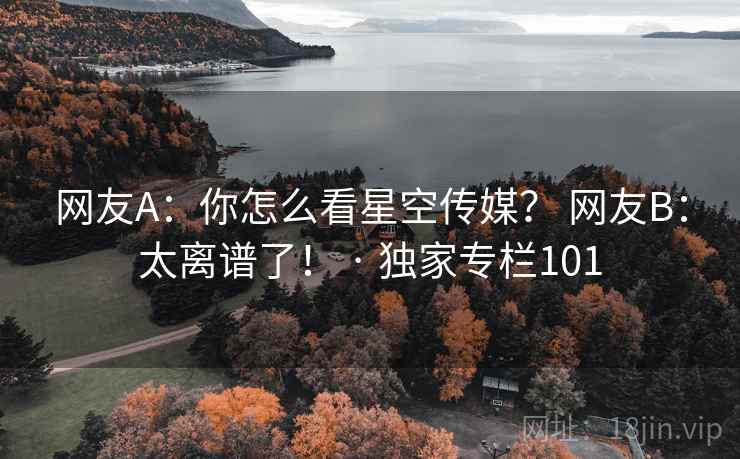 网友A：你怎么看星空传媒？ 网友B：太离谱了！ · 独家专栏101