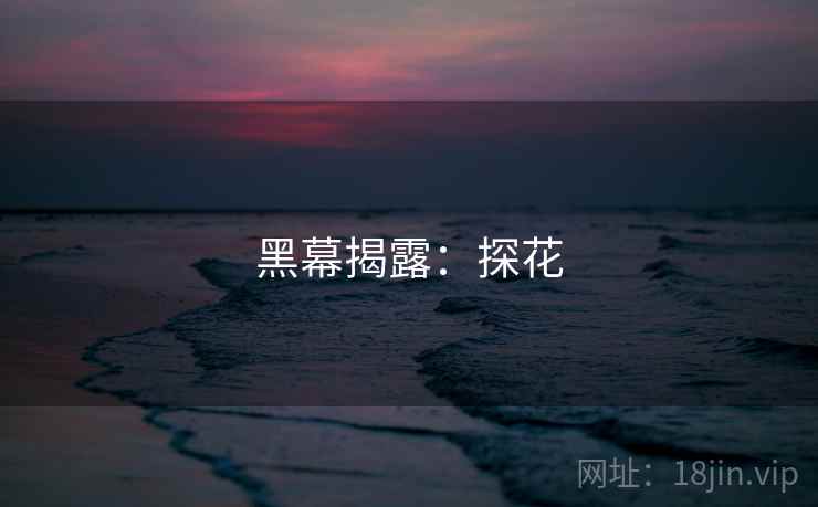 黑幕揭露:探花